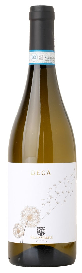 VIGNAMADRE - DEGA' Sauvignon Blanc IGT Organic - Damage Label
